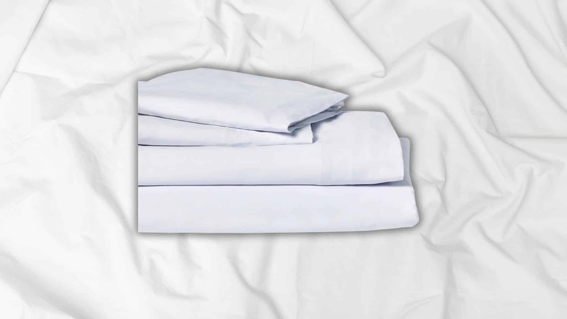 Authenticity50 Signature Sheets