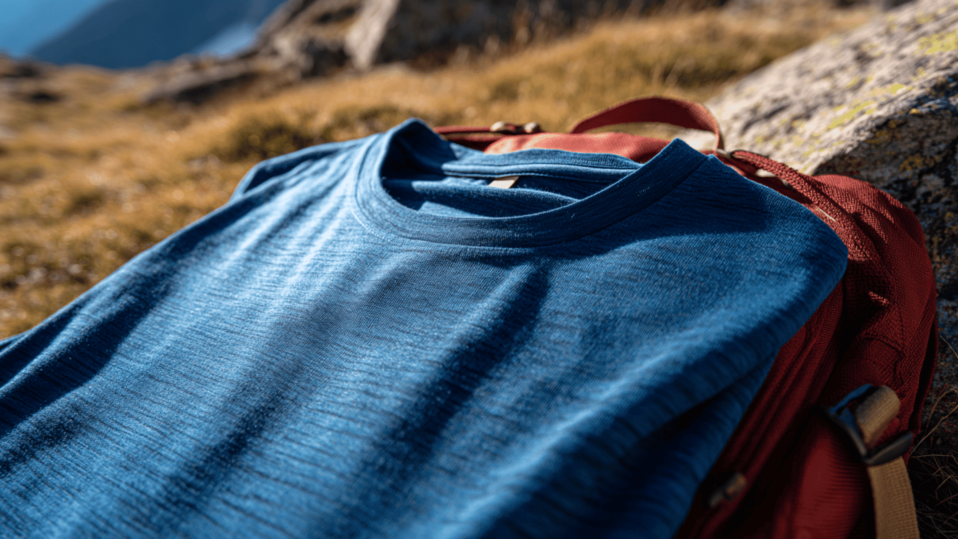 Merino-Wool-The-Unexpected-Winner